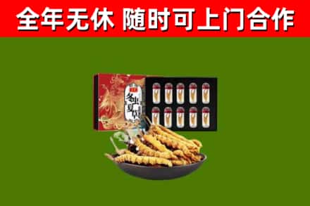 防城港市烟酒回收冬虫夏草礼盒.jpg